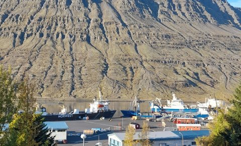 Mynd: Hreggviður Sigurþórsson